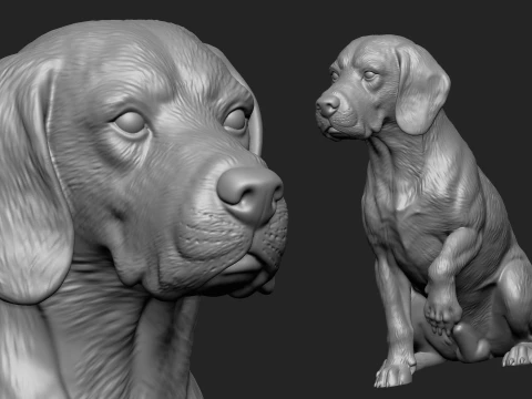3D Printable Dog Pack 3D Print Model