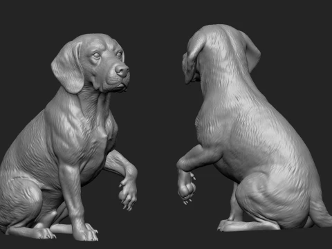 3D Printable Dog Pack 3D Print Model