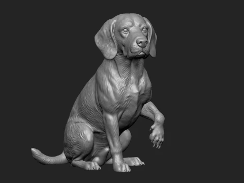 3D Printable Dog Pack 3D Print Model