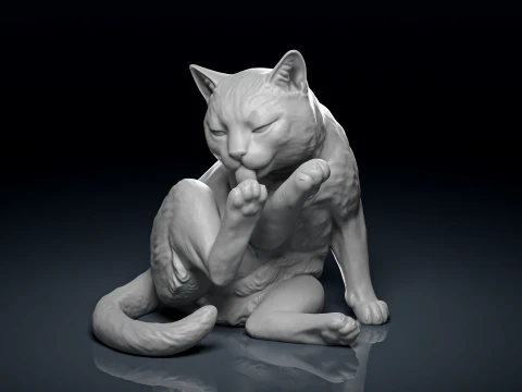 Detailed Grooming Cat 3D Print 3D 프린트 모델