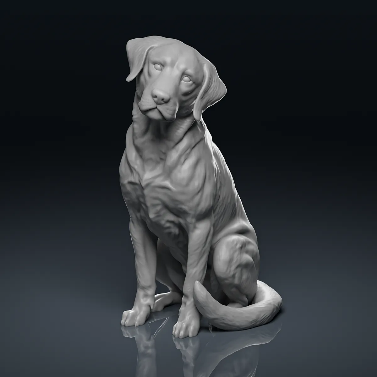 Detailed Sitting Labrador 3D Print Model 3D Print Model .c4d .max .obj .3ds .fbx .stl .blend 