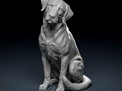 Detailed Sitting Labrador 3D Print Model 3D Print Model