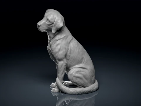 Detailed Sitting Labrador 3D Print Model 3D Print Model