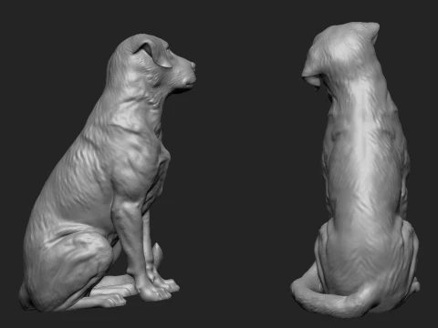 Detailed Sitting Labrador 3D Print Model 3D Print Model