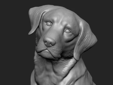 Detailed Sitting Labrador 3D Print Model 3D Print Model