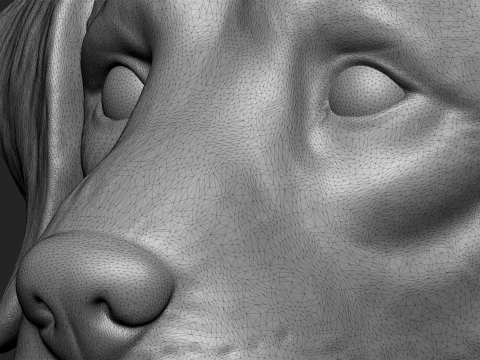 Detailed Sitting Labrador 3D Print Model 3D Print Model