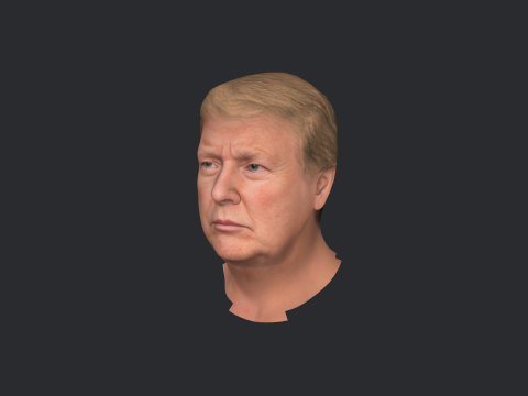 Donald Trump Hyper Realistic Full Body Fully Rigged 3D Character 3Dモデル