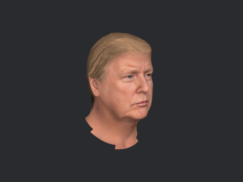 Donald Trump Hyper Realistic Full Body Fully Rigged 3D Character 3Dモデル