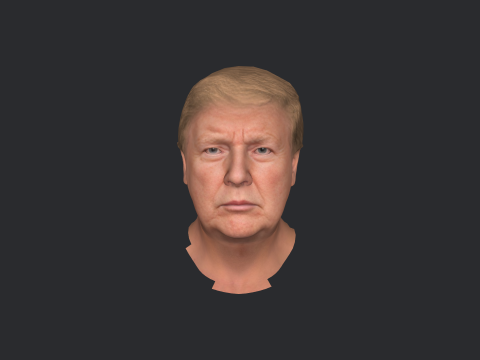 Donald Trump Hyper Realistic Full Body Fully Rigged 3D Character 3Dモデル