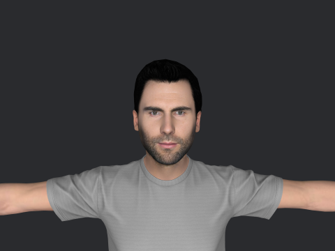 Adam Levine Hyper Realistic Full Body Rigged Character 3Dモデル