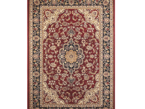 Woven Oriental Rug with Persian Floral Design 3D Model