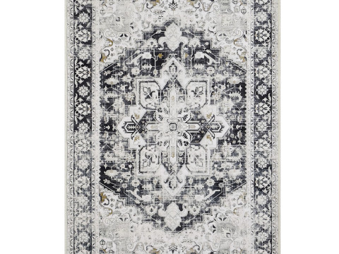 Topotdor Washable Rug Modelo 3D