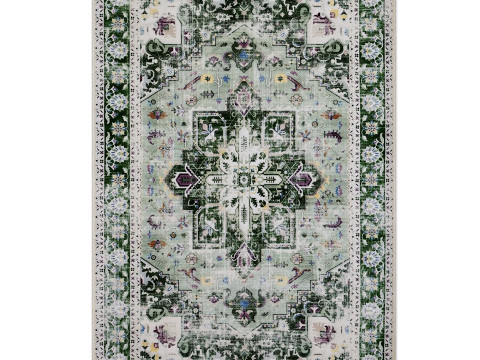 Topotdor Washable Rug Modello 3D