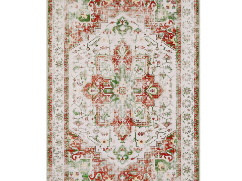 Topotdor Washable Rug Modello 3D