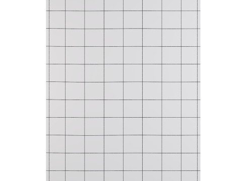 Topotdor Washable Rug Modello 3D