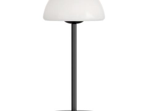 Modern Minimalist Iron Table Lamp Model 3D