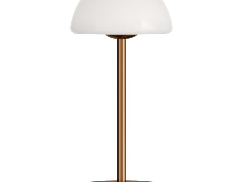 Modern Minimalist Iron Table Lamp Model 3D