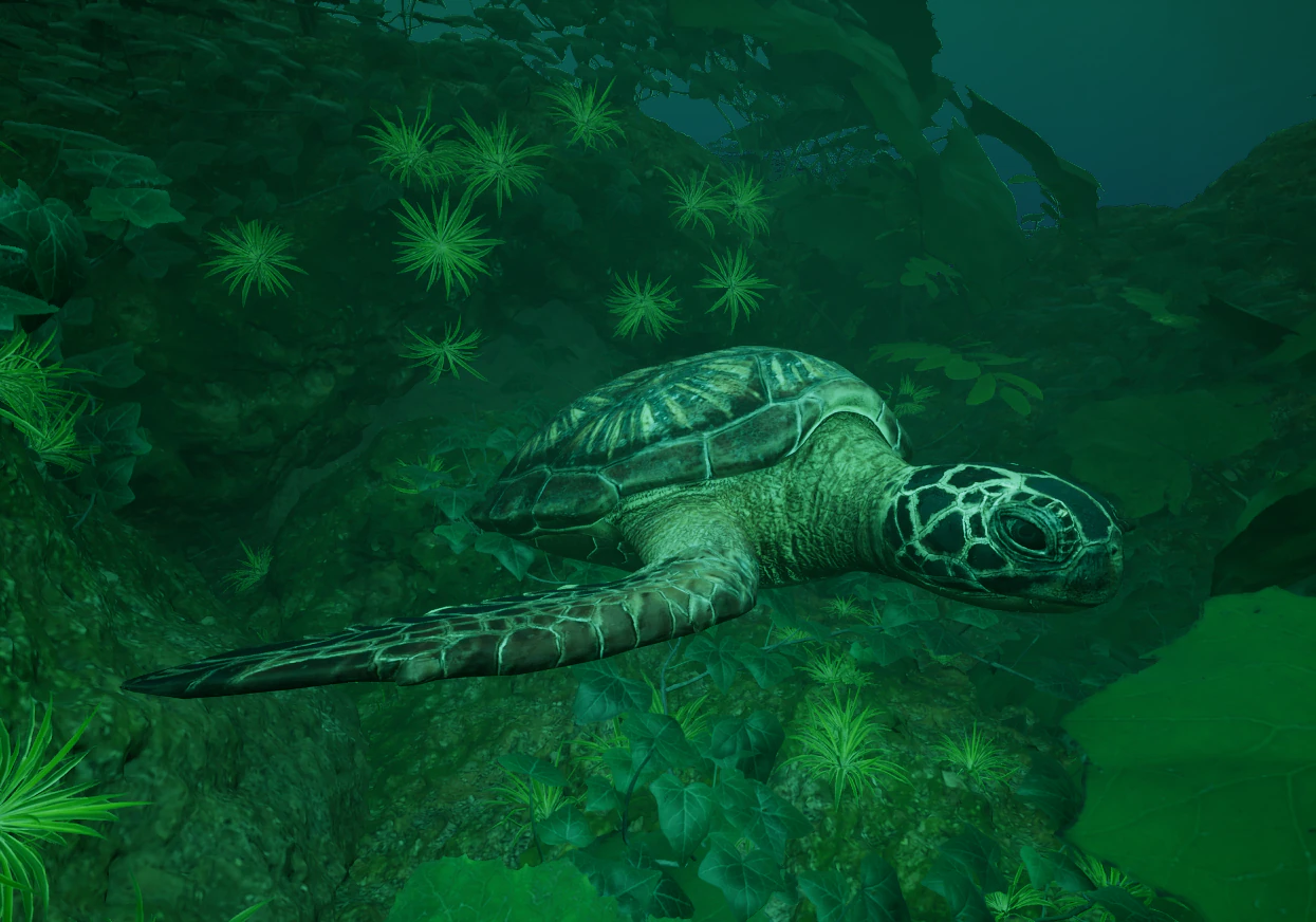Low Poly Sea Turtle 3D Model .c4d .max .obj .3ds .fbx .stl .blend 