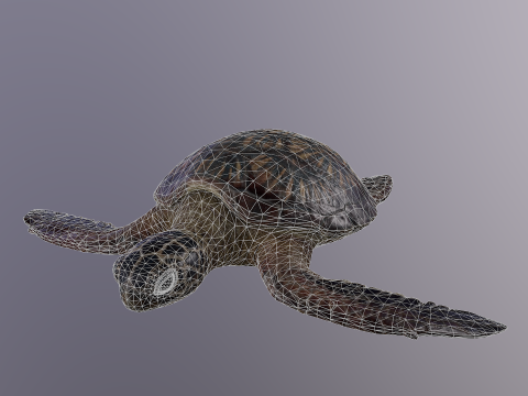 Low Poly Sea Turtle 3Dモデル