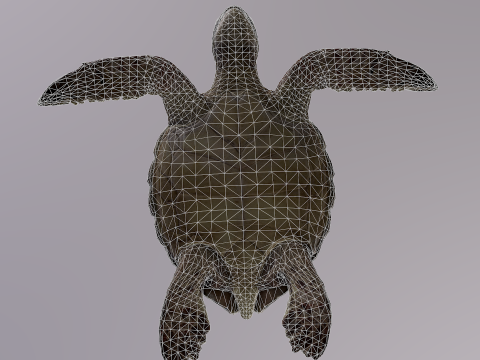 Low Poly Sea Turtle 3Dモデル