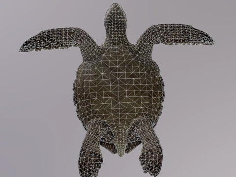 Low Poly Sea Turtle 3D Model