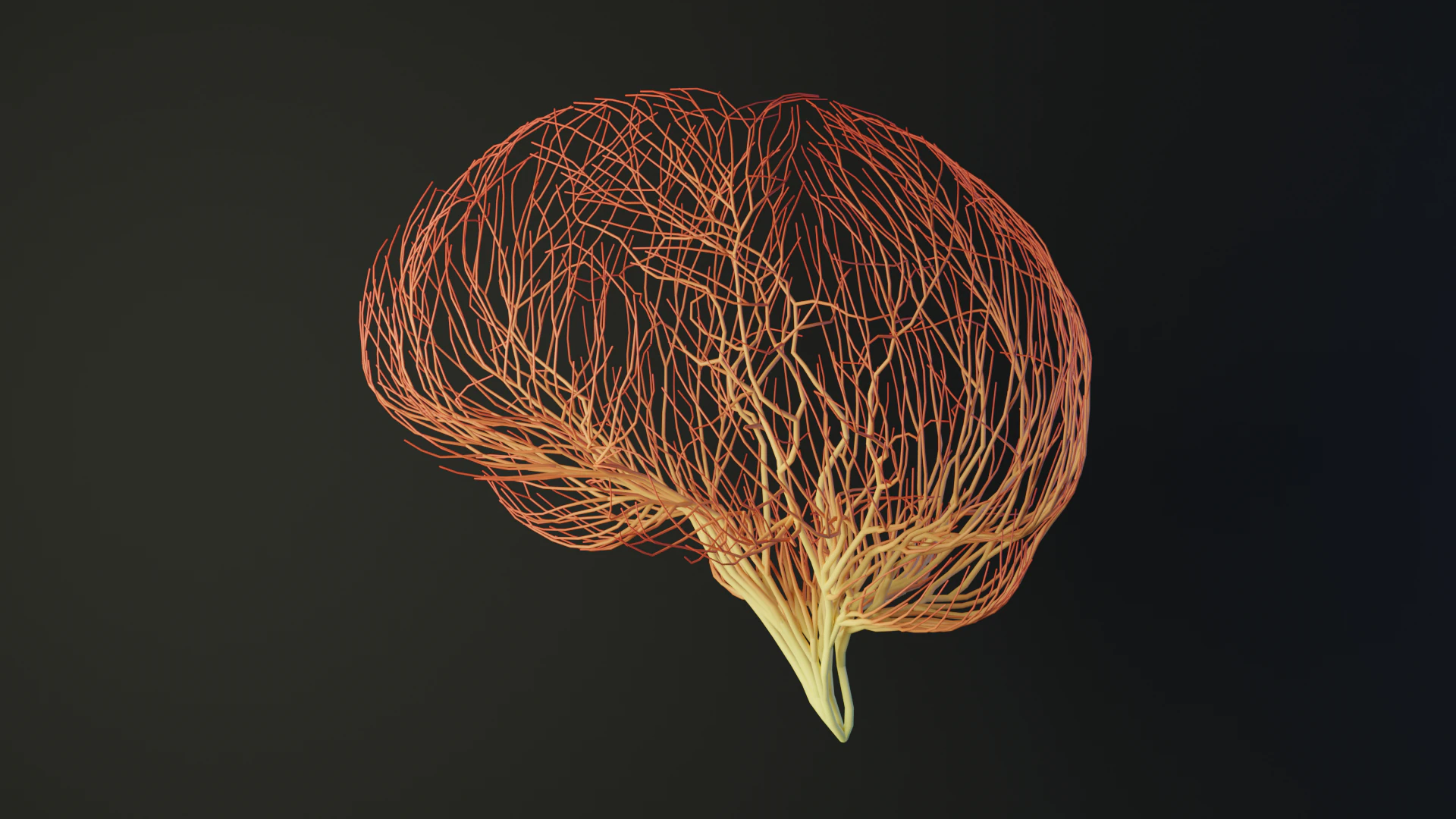Human brain made out of lines Unrolling growing animation 3D Model .c4d .max .obj .3ds .fbx .stl .blend 