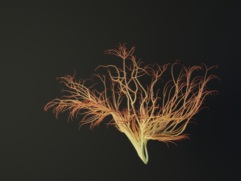 Human brain made out of lines Unrolling growing animation 3D Model