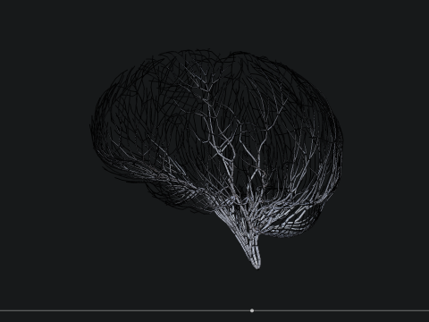 Human brain made out of lines Unrolling growing animation 3D Model