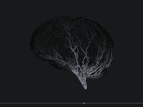 Human brain made out of lines Unrolling growing animation 3D Model