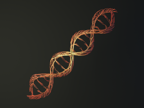 Human DNA made out of lines Unrolling growing animation 3Dモデル