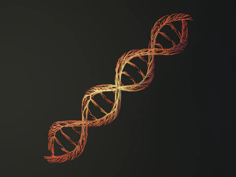 ADN humano hecho de líneas Desarrollando una animación creciente Modelo 3D