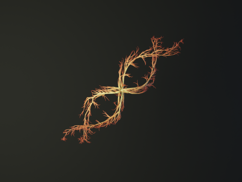 Human DNA made out of lines Unrolling growing animation 3D Модель