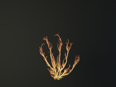 Human hand made out of lines Unrolling growing animation 3D Model
