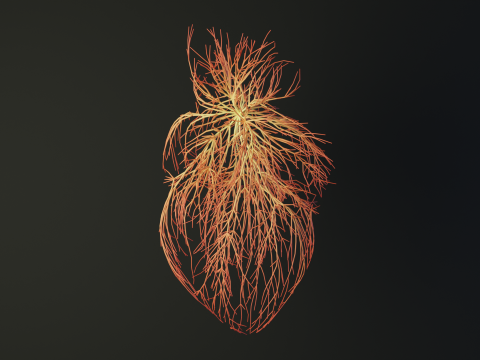 Human heart made out of lines Unrolling growing animation 3Dモデル