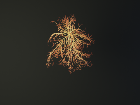 Human heart made out of lines Unrolling growing animation 3Dモデル