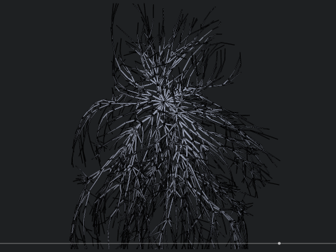 Human heart made out of lines Unrolling growing animation 3Dモデル