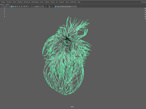 Human heart made out of lines Unrolling growing animation 3Dモデル