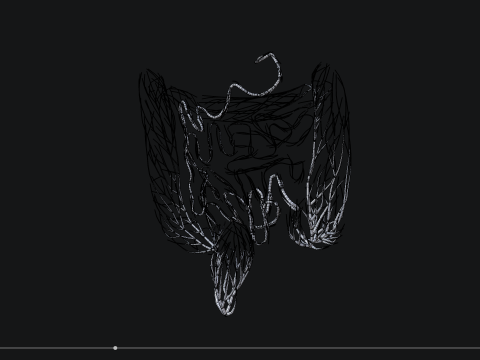 Human intestines made out of lines Unrolling growing animation 3D Model