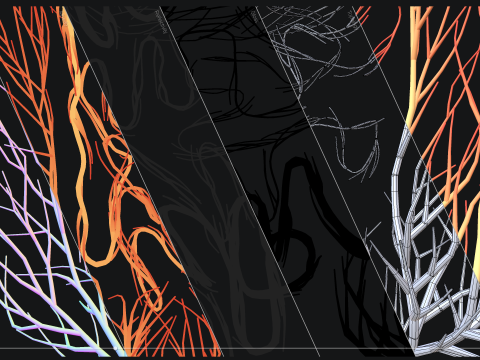 Human intestines made out of lines Unrolling growing animation 3D Model