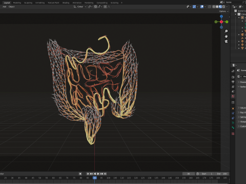 Human intestines made out of lines Unrolling growing animation 3D Model
