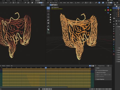 Human intestines made out of lines Unrolling growing animation 3D Model
