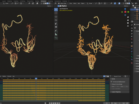 Human intestines made out of lines Unrolling growing animation 3D Model