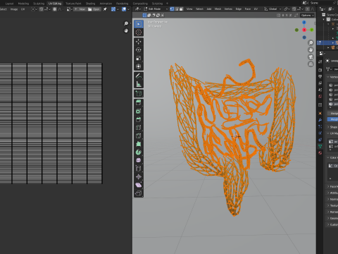 Human intestines made out of lines Unrolling growing animation 3D Model
