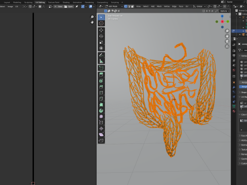 Human intestines made out of lines Unrolling growing animation 3D Model