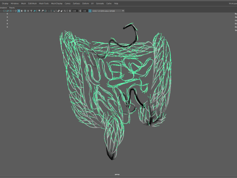 Human intestines made out of lines Unrolling growing animation 3D Model