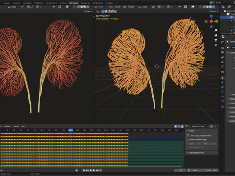 Human kidney made out of lines Unrolling growing animation 3D Model