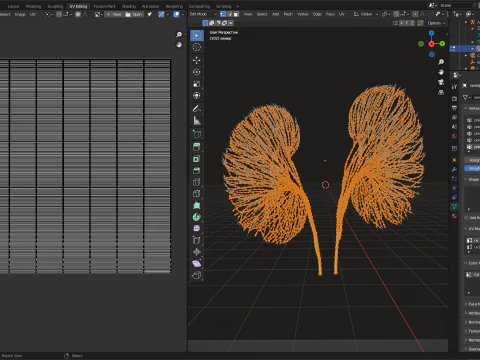Human kidney made out of lines Unrolling growing animation 3D Model