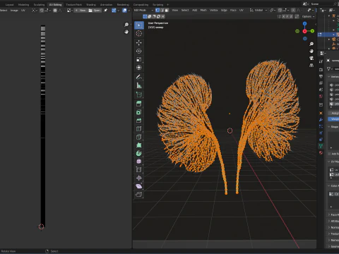 Human kidney made out of lines Unrolling growing animation 3D Model