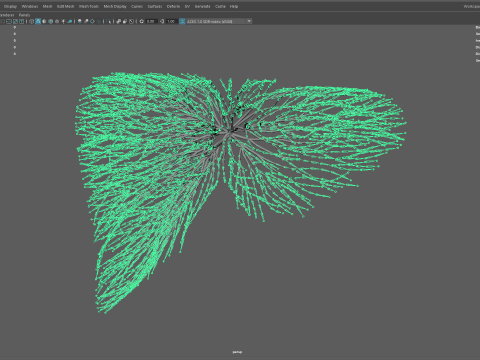 Human liver made out of lines Unrolling growing animation 3D Model