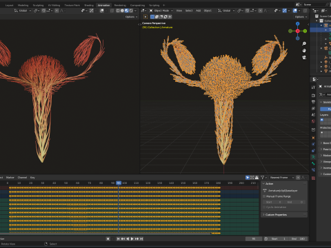 Human Uterus Reproductive Female System made out of lines Unrolling growing animation 3Dモデル